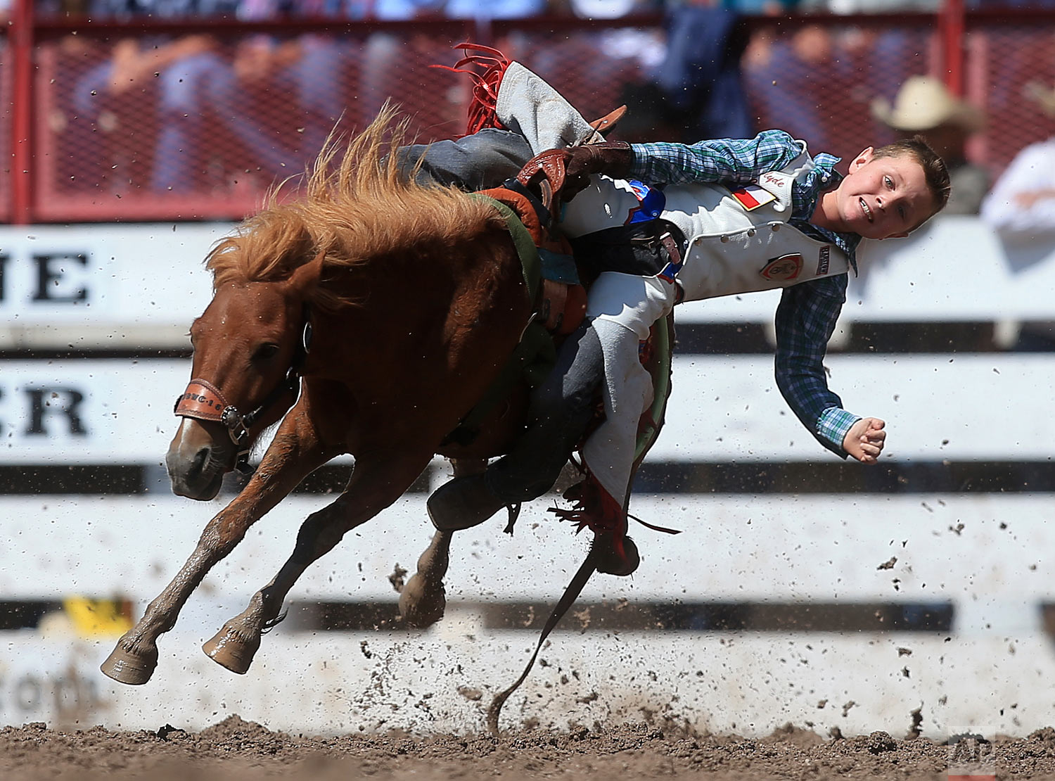 Clyde Cooper competes in the Little Buckers mini bull riders event during the 122nd annual Cheyenne Frontier Days Rodeo on Thursday, July 26, 2018, in Cheyenne, Wyo. (Blaine McCartney/The Wyoming Tribune Eagle via AP)