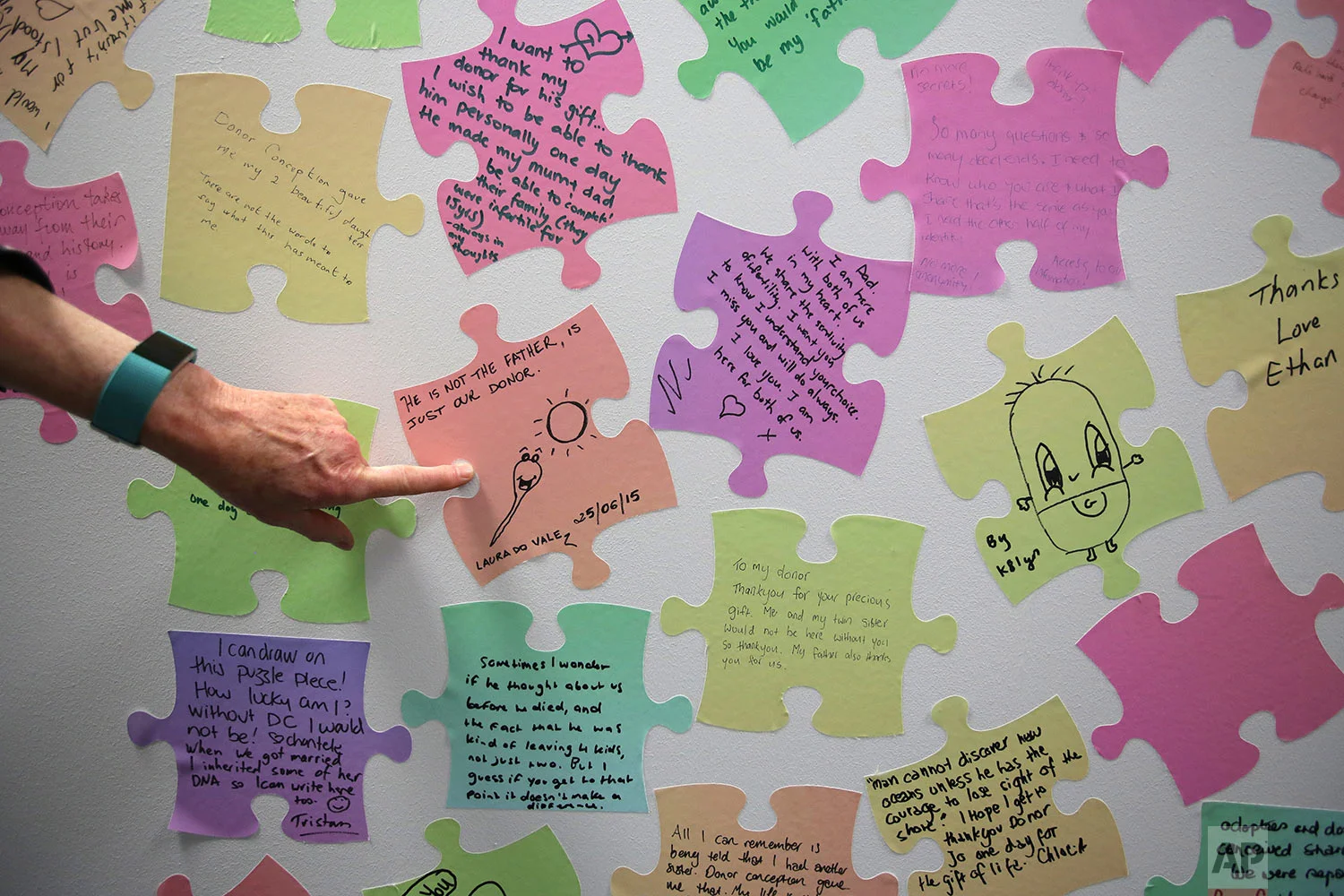 Louise Johnson, CEO of VARTA, points to a series of jigsaw puzzle-shaped stickers featuring messages written by people who were conceived as a result of sperm or egg donation. (AP Photo/Wong Maye-E)