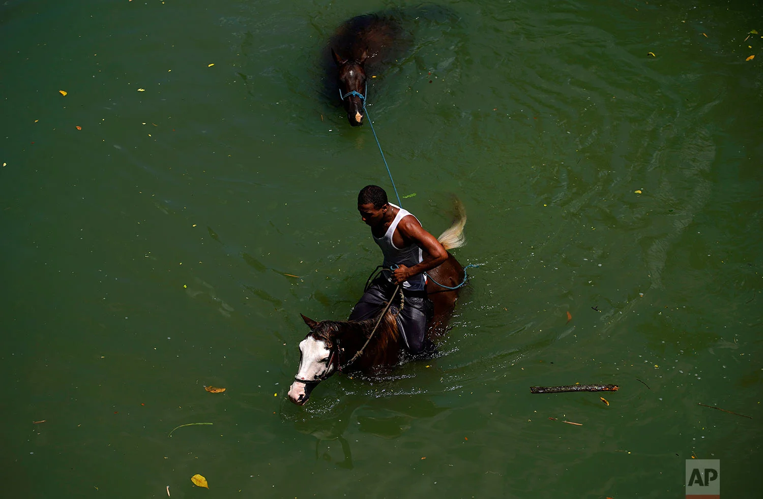 A man rinses his horses off in Bano River after washing them in Guantanamo, Cuba, July 25, 2018. Locals use the river for swimming, cooling off their work horses, and washing cars.
