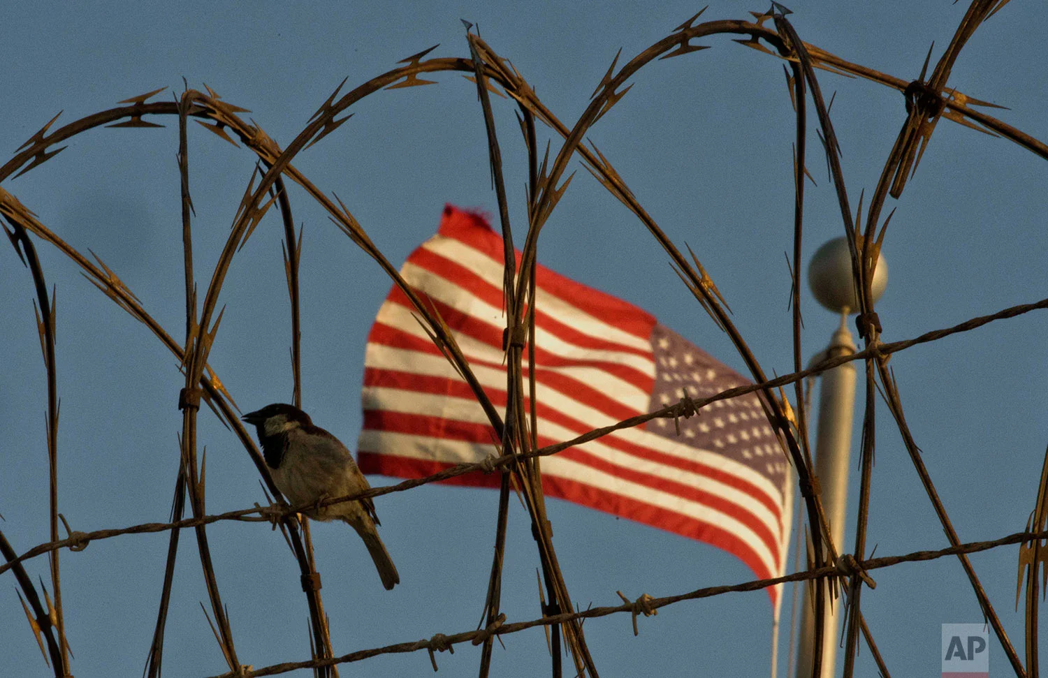 A bird perches on barbed wire outside the Camp VI detention facility at the naval base at Guantanamo Bay, June 5, 2018.