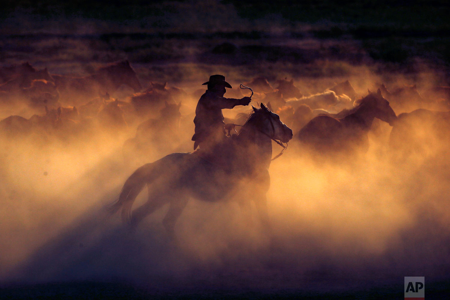 Ali Kemer, a 50-year-old horse-breeder, herds horses in the village of Hormetci, on the foothill of Mount Erciyes, in the central Anatolian province of Kayseri, Turkey on Sunday, Aug. 5, 2018. Kemer is a third-generation horse breeder in the village where the residents have a special affinity with the "yilki," as the untamed horses are called. He cares for about 350 of them and charges visitors 50 Turkish lira (US $8) to photograph the horses, money he says he uses for their upkeep. Thousands of other wild horses roam free on the mountains and plains of Turkey's Anatolia region, the descendants of horses that were abandoned by farmers. (AP Photo/Emrah Gurel)