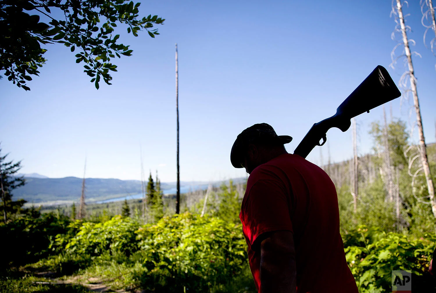George A. Hall carries his shotgun as protection against bears while searching for Ashley HeavyRunner Loring in the mountains of the Blackfeet Indian Reservation in Babb, Mont., July 12, 2018. (AP Photo/David Goldman)
