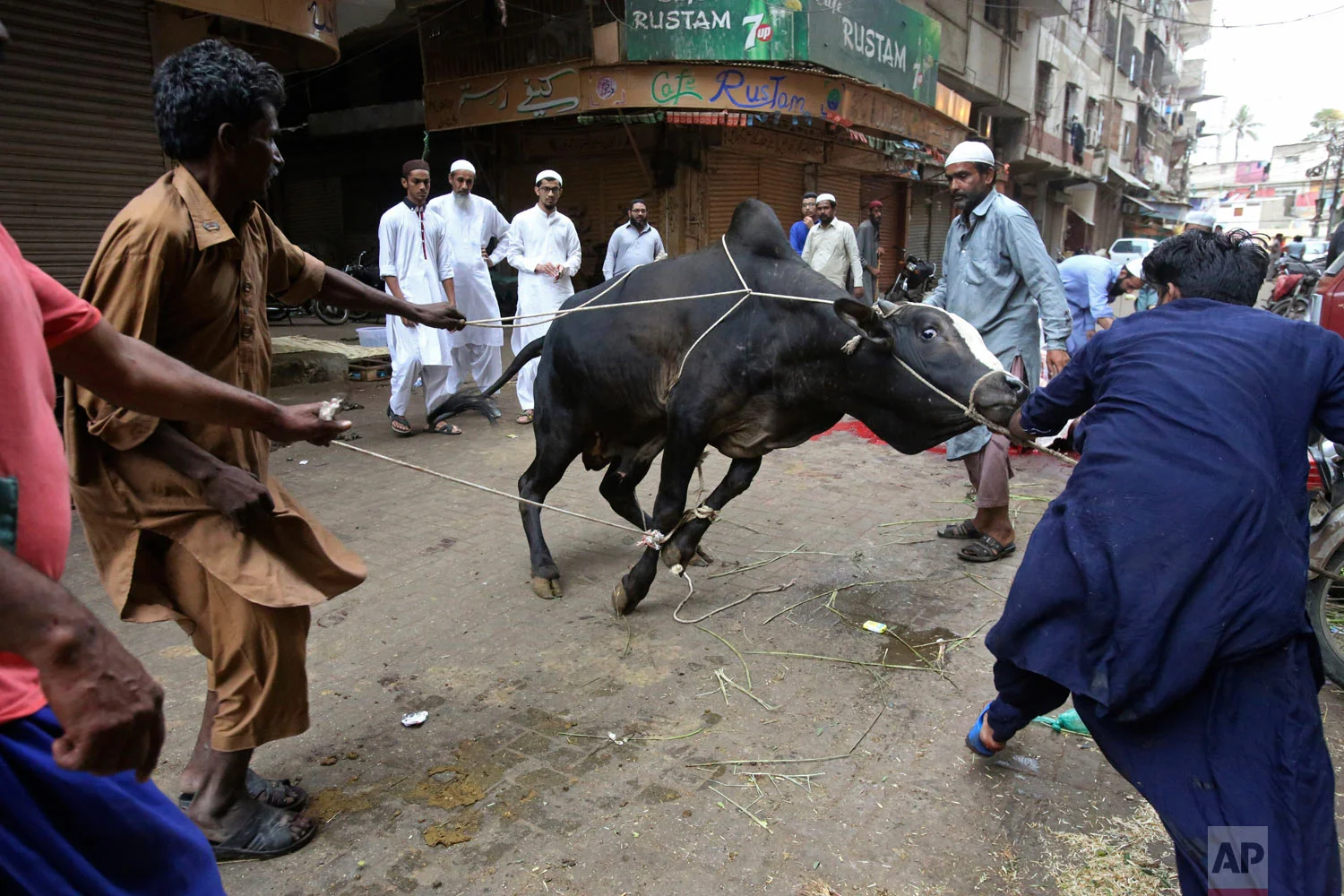 People prepare to slaughter an animal on the occasion of the Eid al-Adha holiday in Karachi, Pakistan, Wednesday, Aug. 22, 2018. Muslims around the world celebrate Eid al-Adha, or the Feast of the Sacrifice, that marks the willingness of the Prophet Ibrahim (Abraham to Christians and Jews) to sacrifice his son. During the holiday, which in most places lasts four days, Muslims slaughter sheep or cattle, distribute part of the meat to the poor and eat the rest. (AP Photo/Fareed Khan)