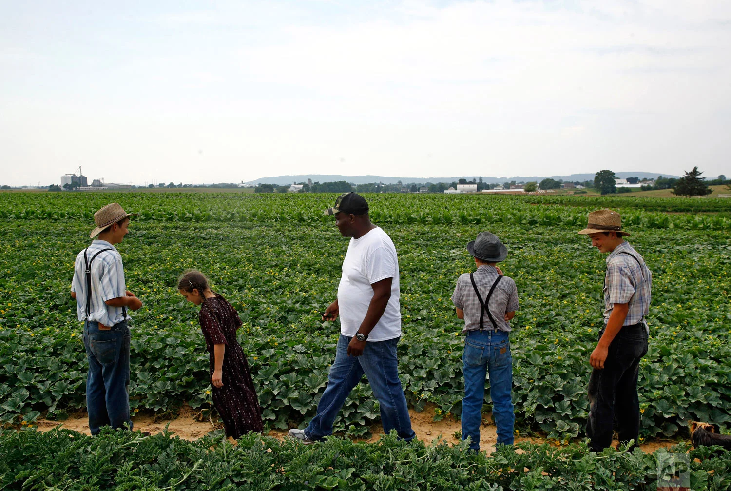 James Chase, center, the leader of a Baltimore arabber stable, walks in a field with children belonging to an Old Order Mennonite family on June 18, 2018, at the family's farm in New Holland, Pennsylvania. (AP Photo/Patrick Semansky)