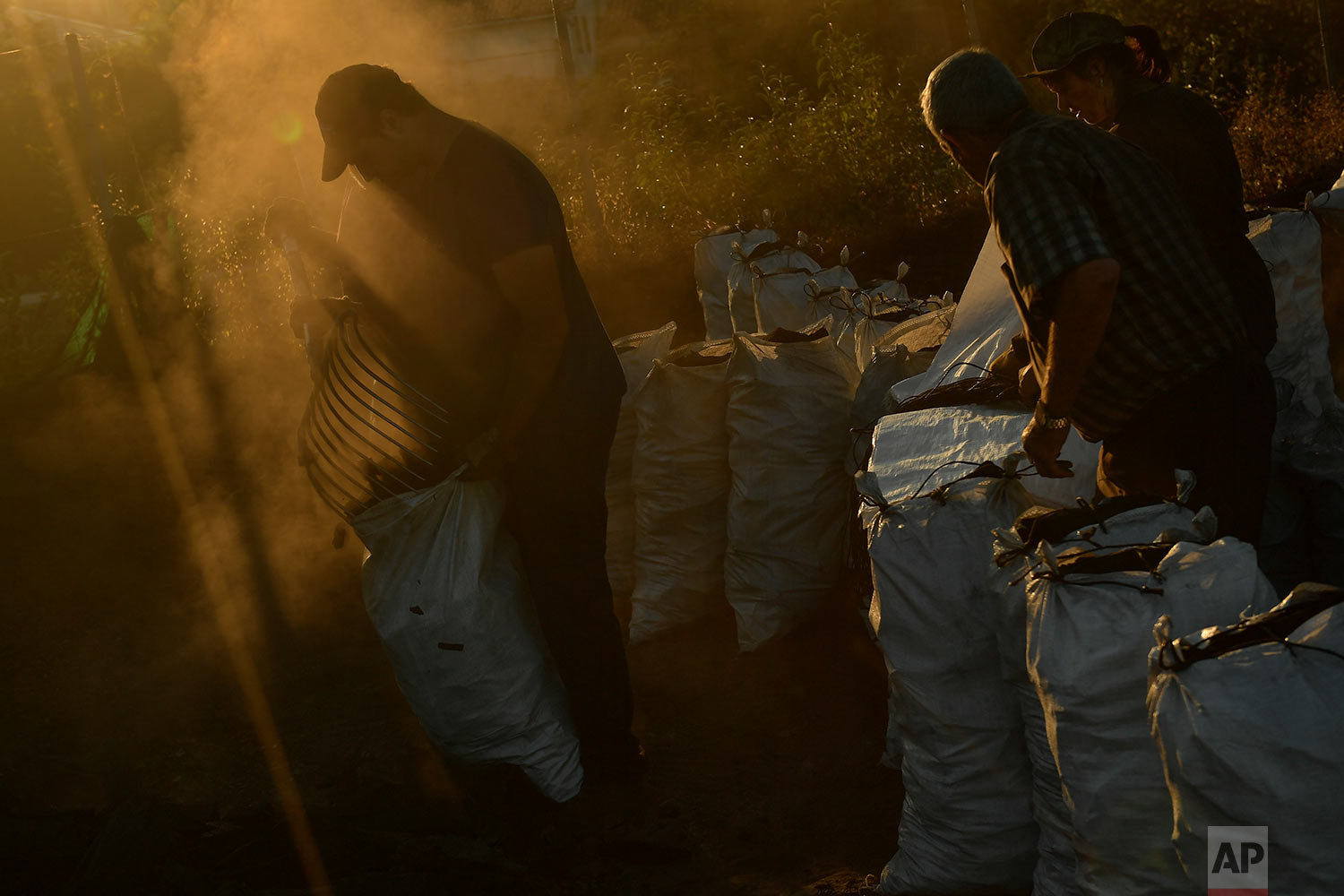  In this Tuesday, Sept.11, 2018 photo, Arkaitz Lander, 22, picks up charcoal putting it in sacks, as part of a process to produce traditional charcoal in Viloria, northern Spain. (AP Photo/Alvaro Barrientos) 