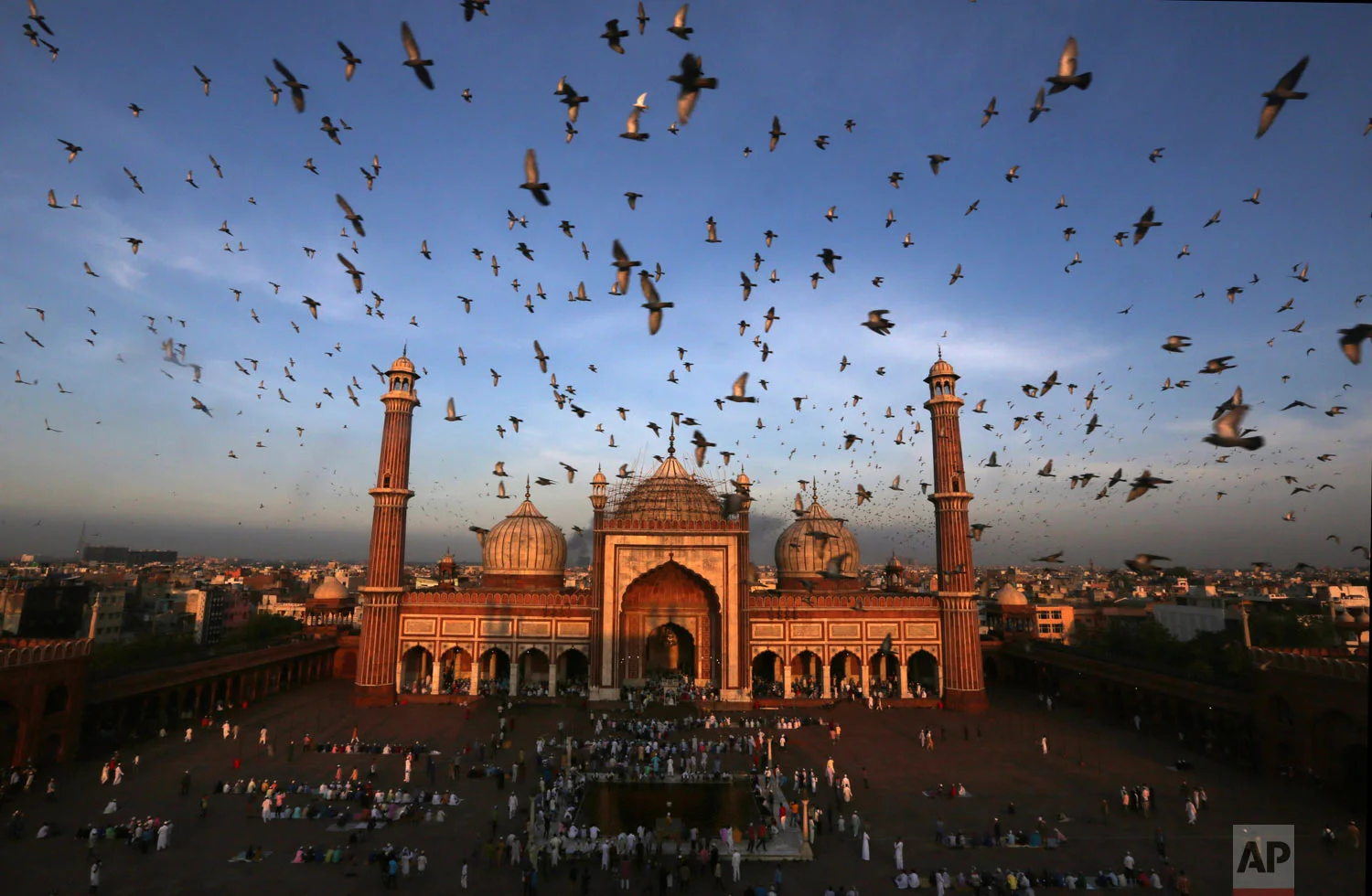 Pigeons fly past as Muslims gather to offer Eid al-Adha prayers at Jama Masjid in New Delhi, India, Wednesday, Aug. 22, 2018. (AP Photo/Manish Swarup)