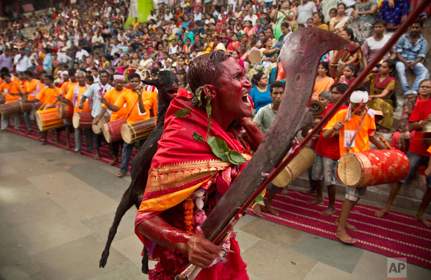 A Hindu priest, whose face is smeared with color and sacrificial blood, carries a goat for sacrifice during Deodhani festival at the Kamakhya Hindu temple in Gauhati, India, Saturday, Aug. 18, 2018. (AP Photo/Anupam Nath)