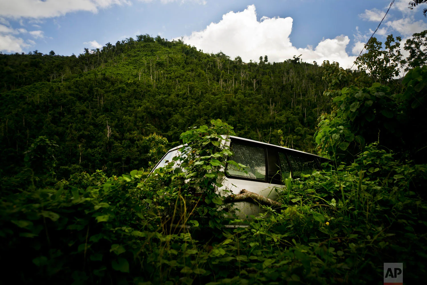  In this Sept. 8, 2018 photo, a car abandoned during Hurricane Maria one year ago is taken over by vegetation in the San Lorenzo neighborhood of Morovis, Puerto Rico. (AP Photo/Ramon Espinosa) 