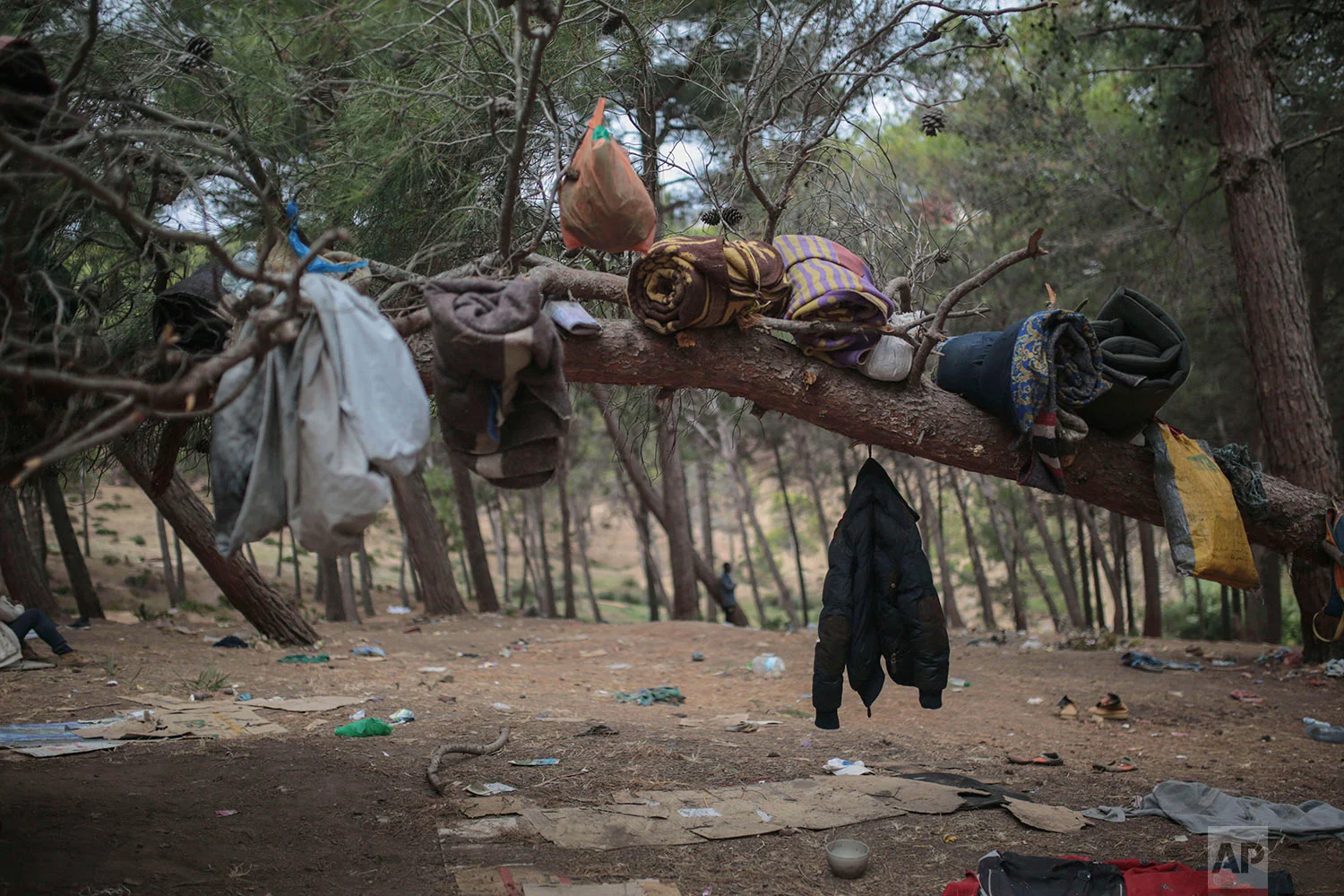 Sub-Saharan migrants aiming to cross to Europe are hung on a tree in a forest they had taken shelter in, Sept. 8, 2018, near Masnana, on the outskirts of Tangier, Morocco. (AP Photo/Mosa'ab Elshamy)