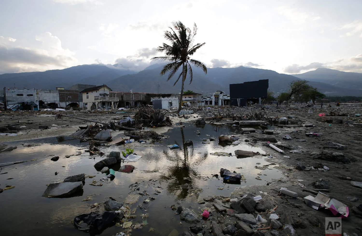 A lone tree stands in the debris from structures that were wiped out after a massive earthquake and tsunami hit Palu, Central Sulawesi, Indonesia Thursday, Oct. 4, 2018. (AP Photo/Aaron Favila)