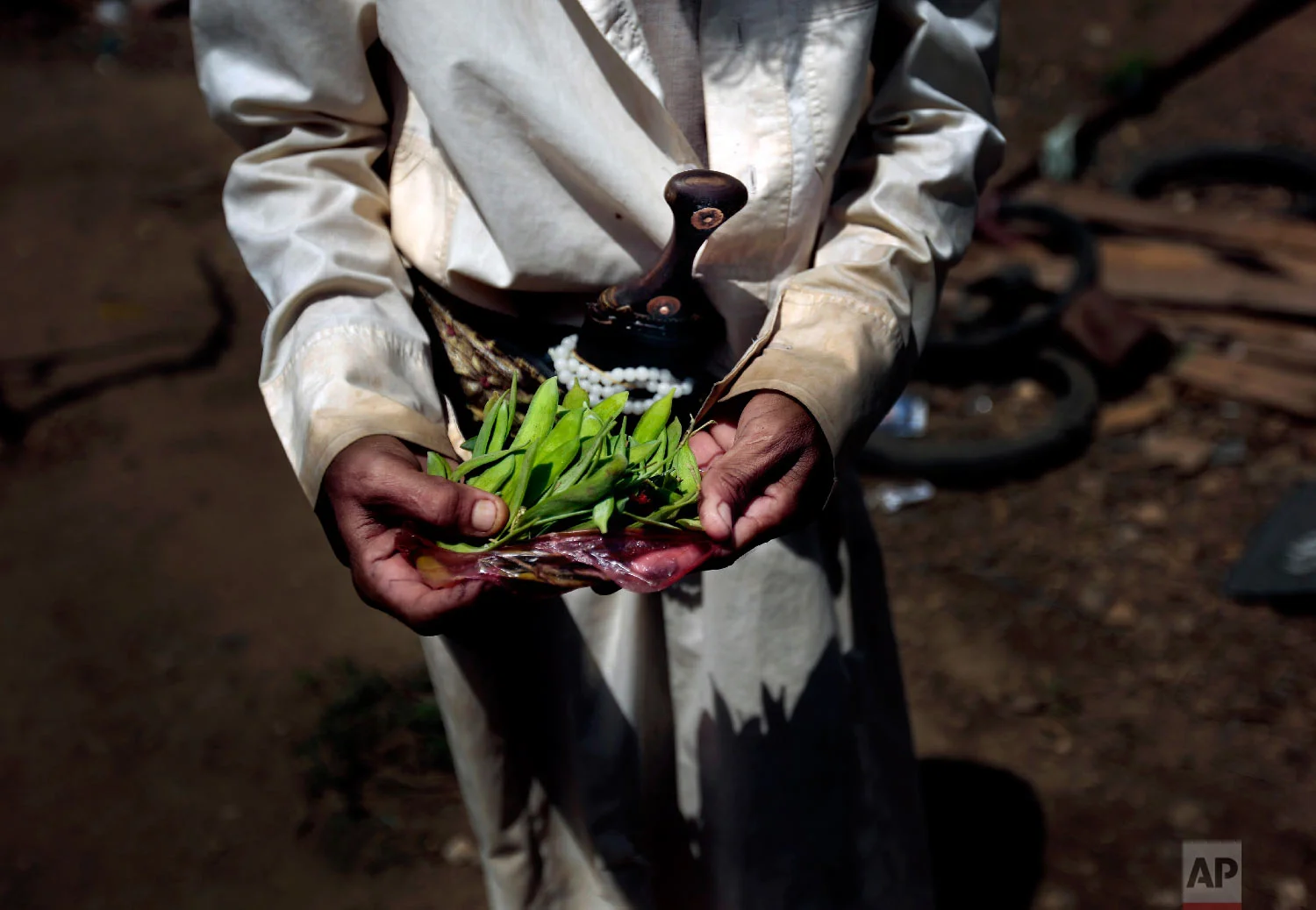 A man holds Halas before cooking for his children, a climbing vine of green leaves, in Aslam, Hajjah, Yemen. (AP Photo/Hani Mohammed)