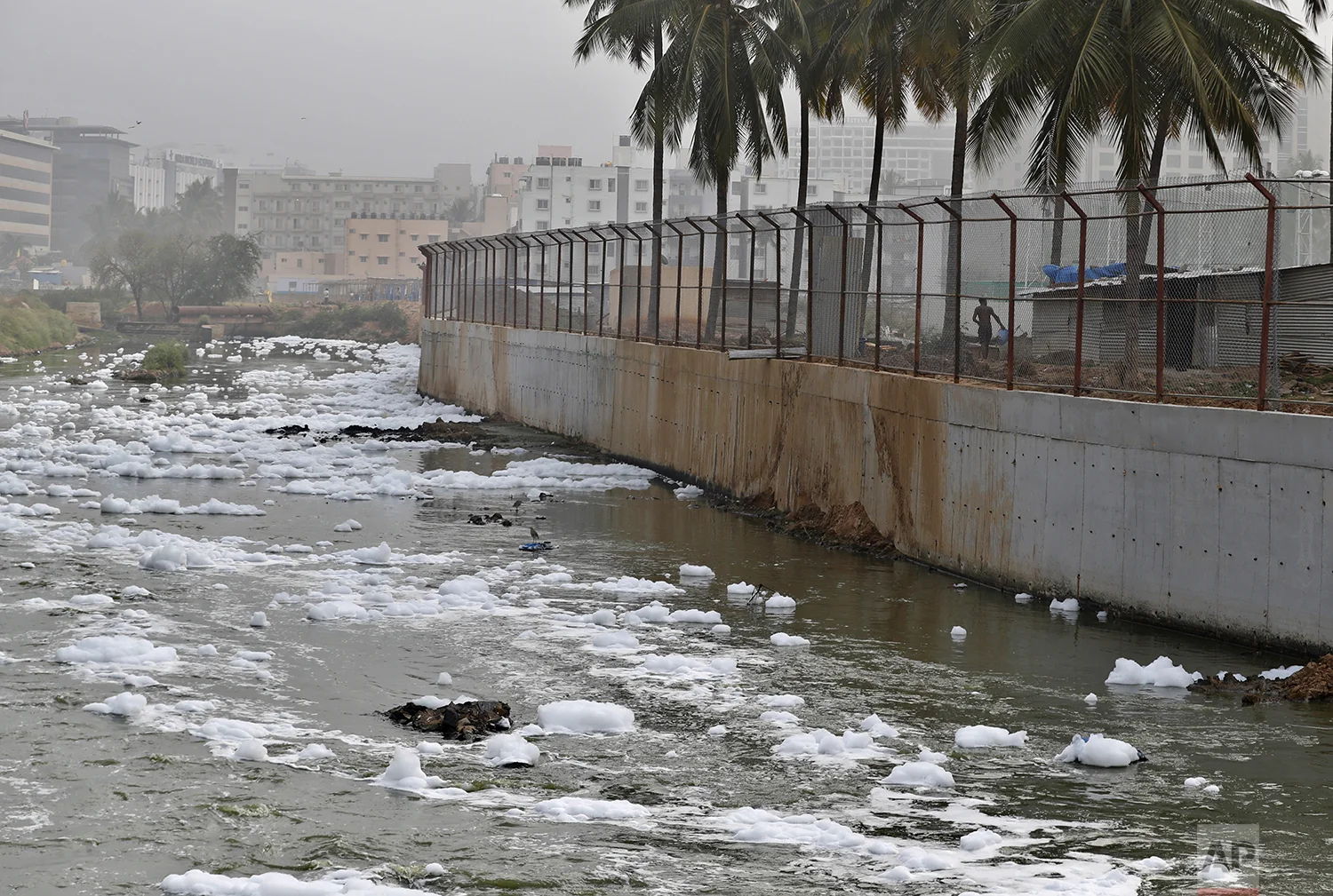 In this Monday, Dec. 10, 2018 photo, toxic froth from industrial pollution floats on Bellundur Lake in Bangalore, India. (AP Photo/Aijaz Rahi)