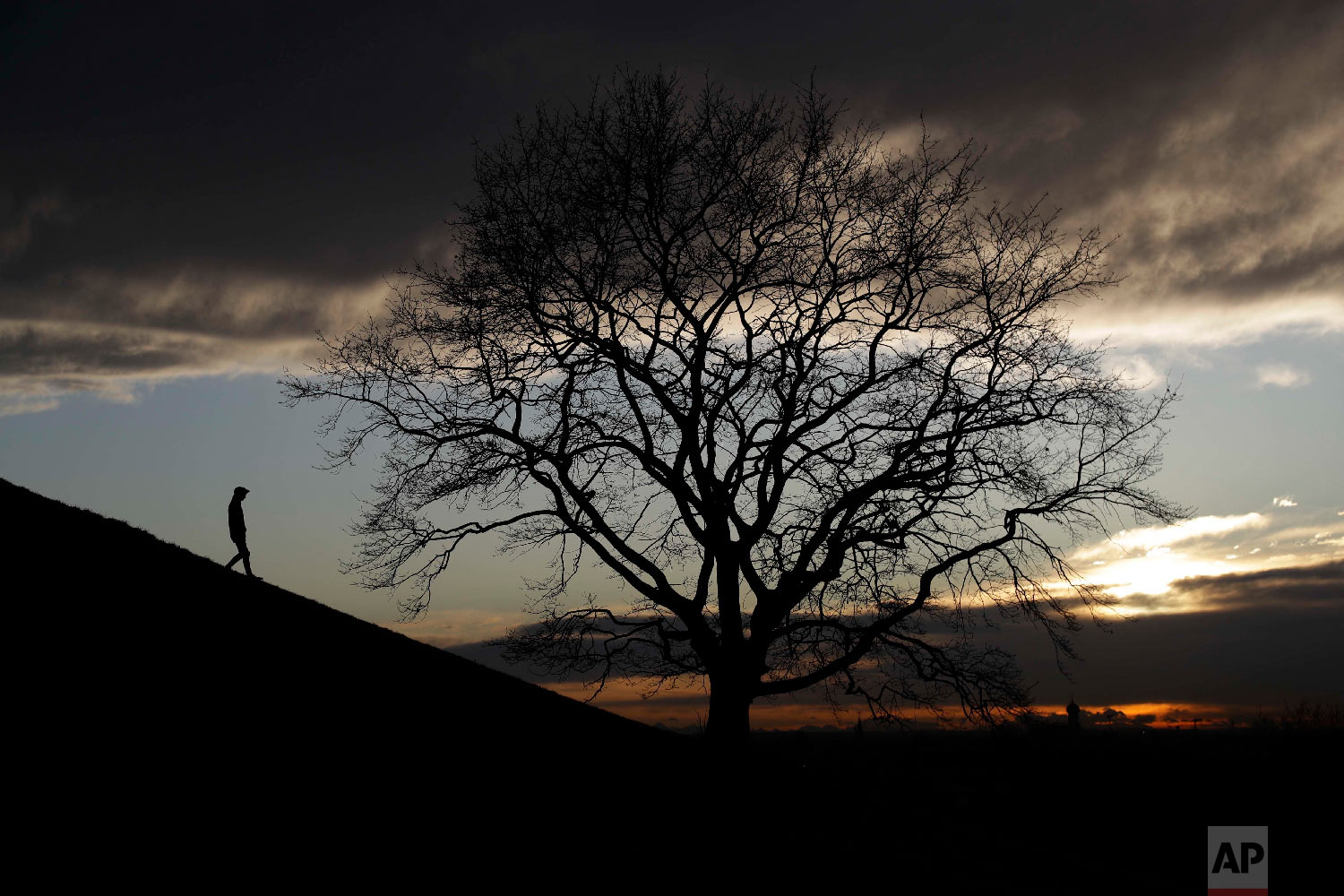  A man passes a tree as he walks down a hill during sun set at the Olympic Park in Munich, Germany on Jan. 9, 2018. (AP Photo/Matthias Schrader) 