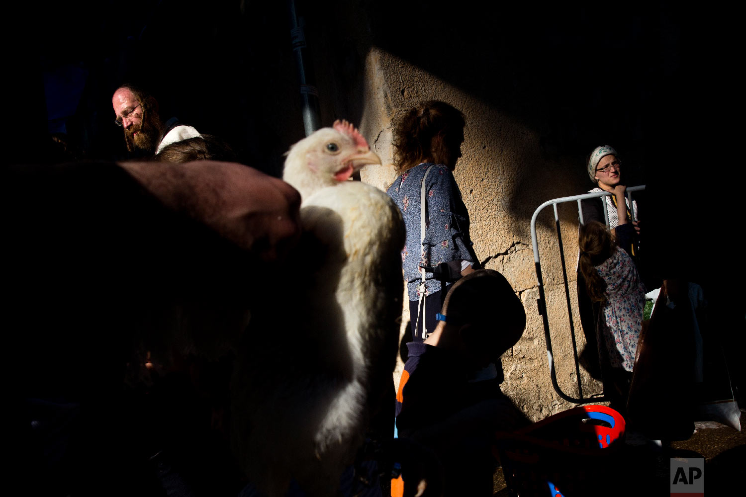 An ultra-Orthodox Jewish man holds a chicken during the Kaparot ritual in Bnei Brak, Israel, Sept. 16, 2018. (AP Photo/Oded Balilty)