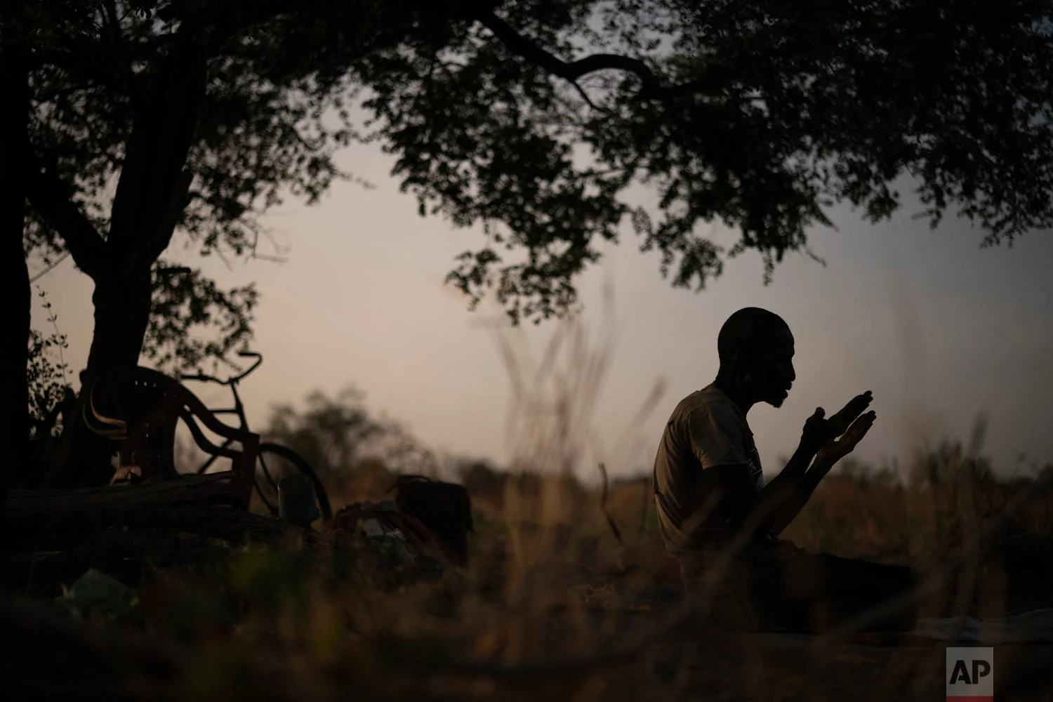 Cheikh Fofana prays under a tree after working in a peanut field, as the sun sets on Nov. 25, 2018, in Goudiry, Senegal. (AP Photo/Felipe Dana)