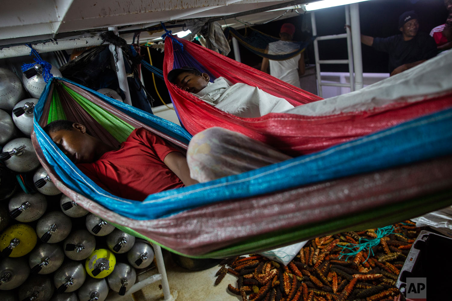  In this Sept. 11, 2018 photo, Miskito divers sleep on hammocks on their last night of a 13-day fishing trip, surrounded by empty oxygen tanks, left, and their catch of sea cucumbers, right lower corner, as they are transported from Cay Savannah to K