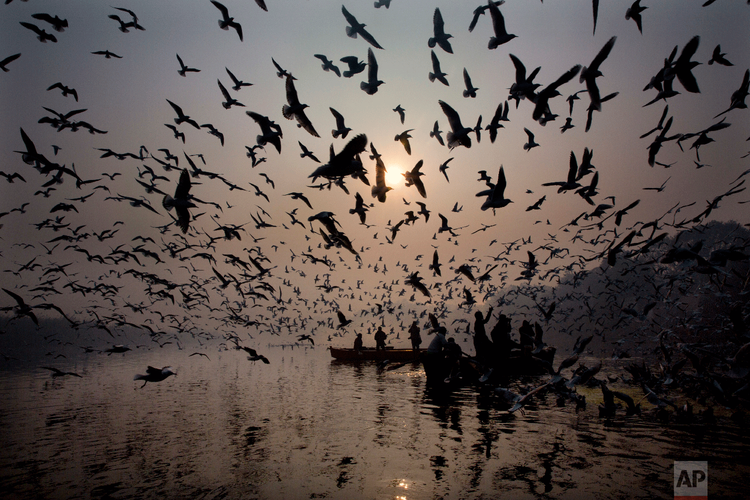 Indians feed seagulls from the boat in the river Yamuna on the first day of the new year in New Delhi, India, Tuesday, Jan. 1, 2019. (AP Photo/Manish Swarup)