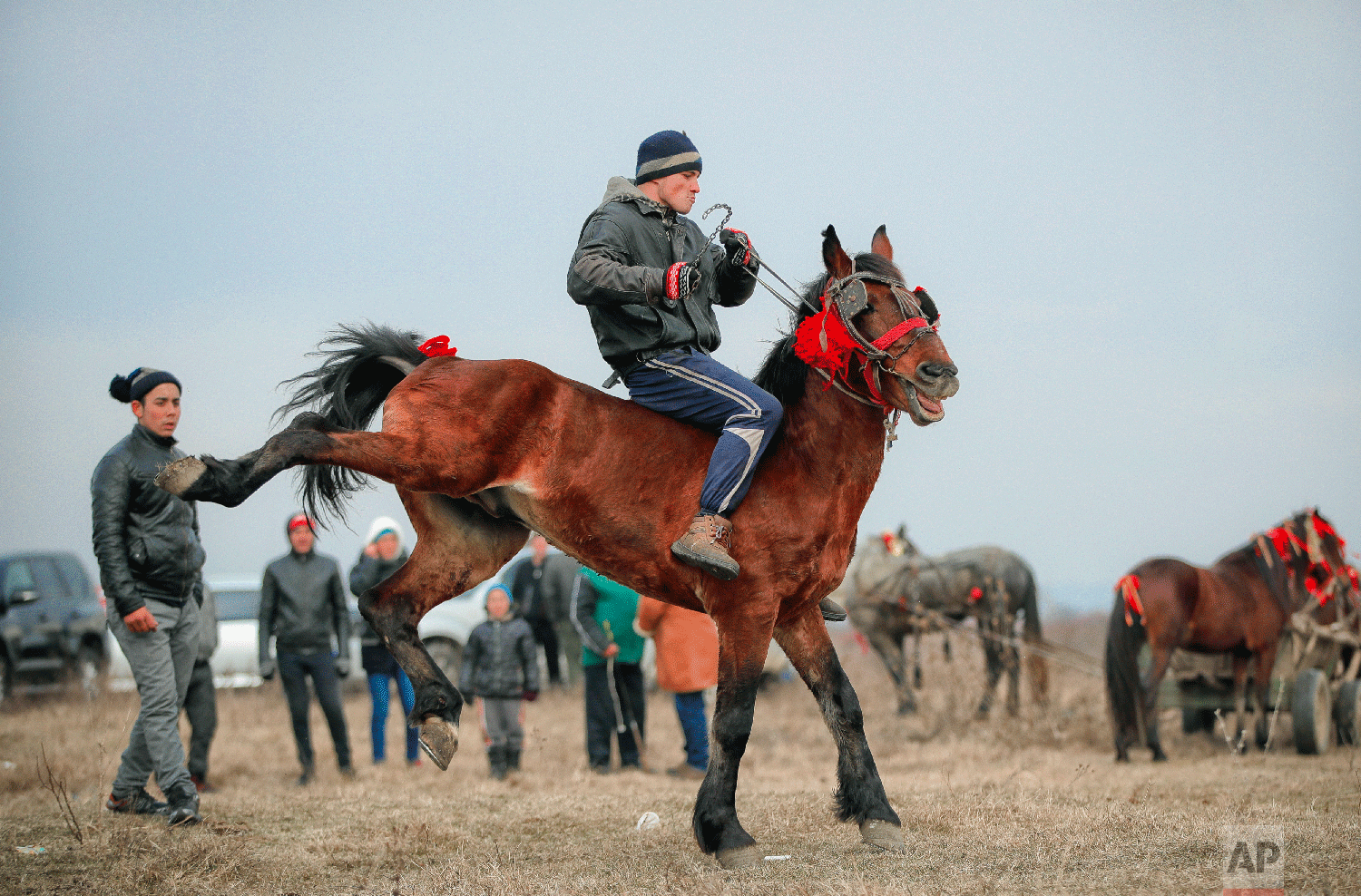A man struggles to control his horse before an Epiphany celebration horse race in Pietrosani, Romania, Sunday, Jan. 6, 2019. (AP Photo/Vadim Ghirda)