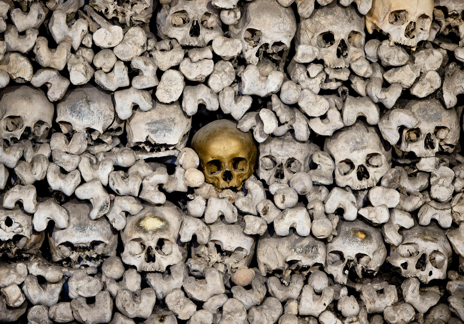 A skull painted gold stands out from amongst the 20,000 skeletons stored in the church ossuary of the Katharinenkirche in Oppenheim some 50 kilometers (30 miles) south of Frankfurt, Germany, Monday, Jan. 7, 2019. (AP Photo/Michael Probst)