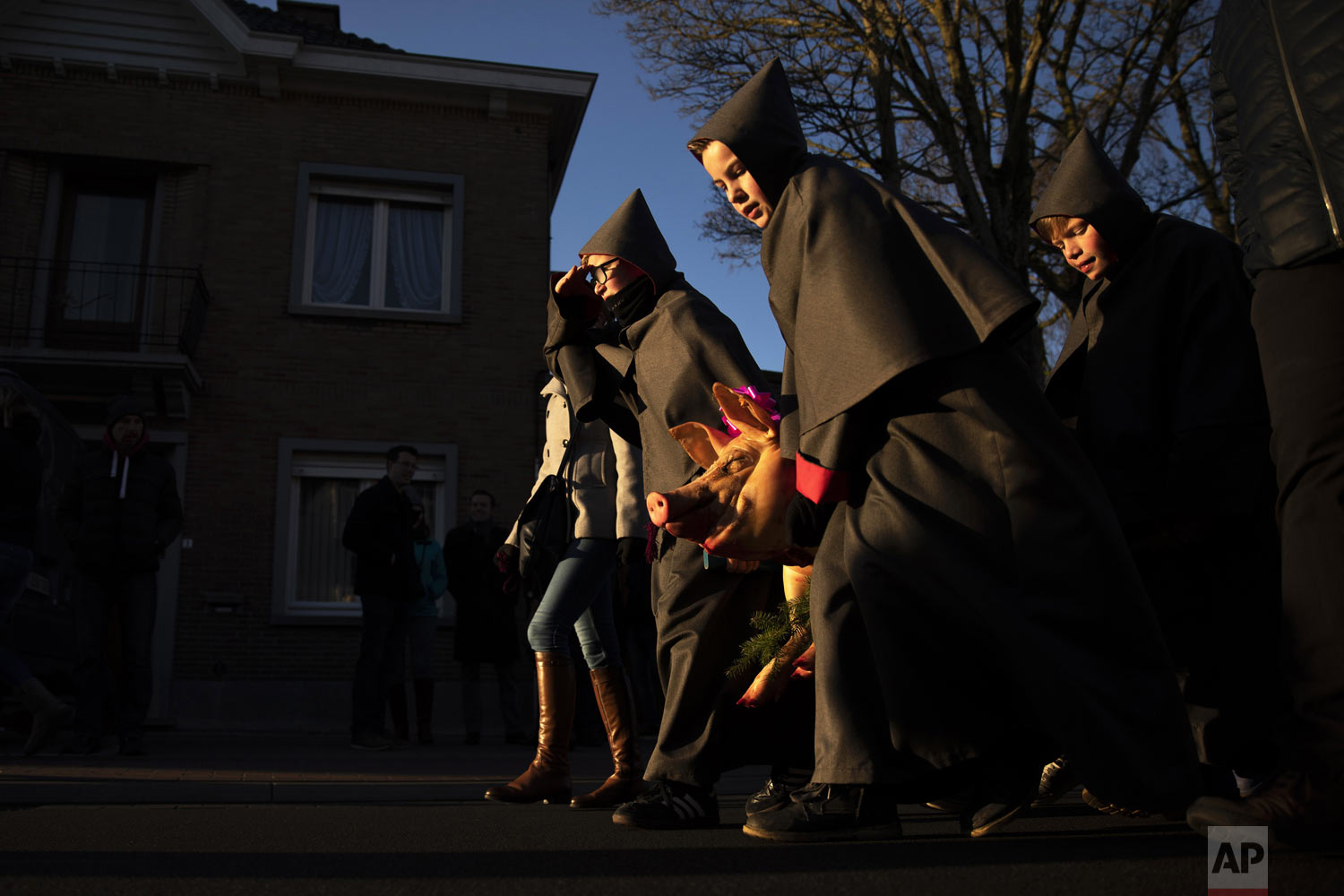 Hooded youths carry a slaughtered pig to a church during Saint Anthony celebrations in the village of Ingooigem, Belgium, on Sunday, Jan. 20, 2019. During the local celebration for the patron saint of animals, hooded twelve-year-olds along with other children bring killed hogs and small farm animals in a short procession to the church to celebrate a Mass. After the mass, pigs are sold in a public auction while the offered farm animals are raffled among the people. (AP Photo/Francisco Seco)