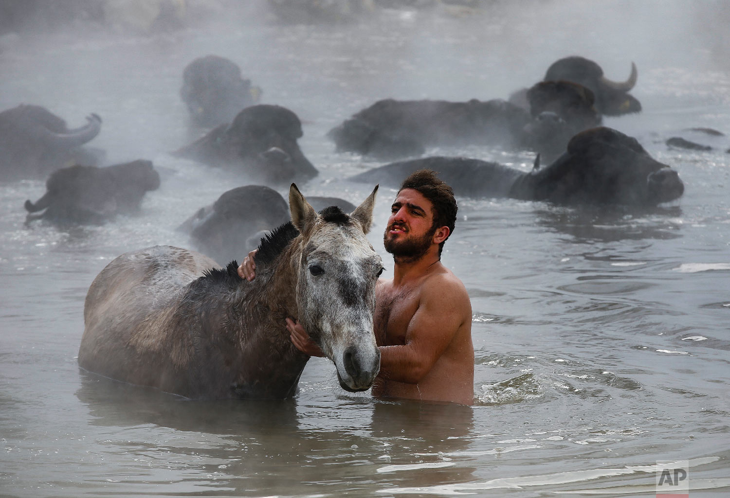  Muhammed Toren, 18, washes his horse in a hot spring along with his water buffaloes near the village of Budakli, in the mountainous Bitlis province of eastern Turkey, Thursday, Jan. 24, 2019. (AP Photo/Emrah Gurel) 