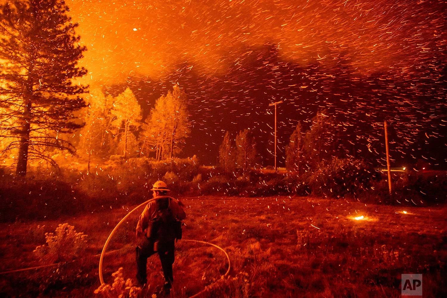 Embers fly above a firefighter as he works to control a backfire as the Delta Fire burns in the Shasta-Trinity National Forest, Calif., on Thursday, Sept. 6, 2018. The blaze had tripled in size overnight. (AP Photo/Noah Berger)