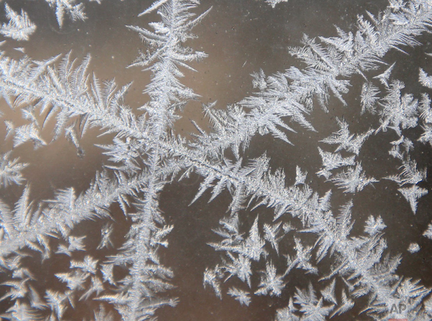  Frost forms on a window in Lawrence, Kan., Wednesday, Jan. 30, 2019. (AP Photo/Orlin Wagner) 