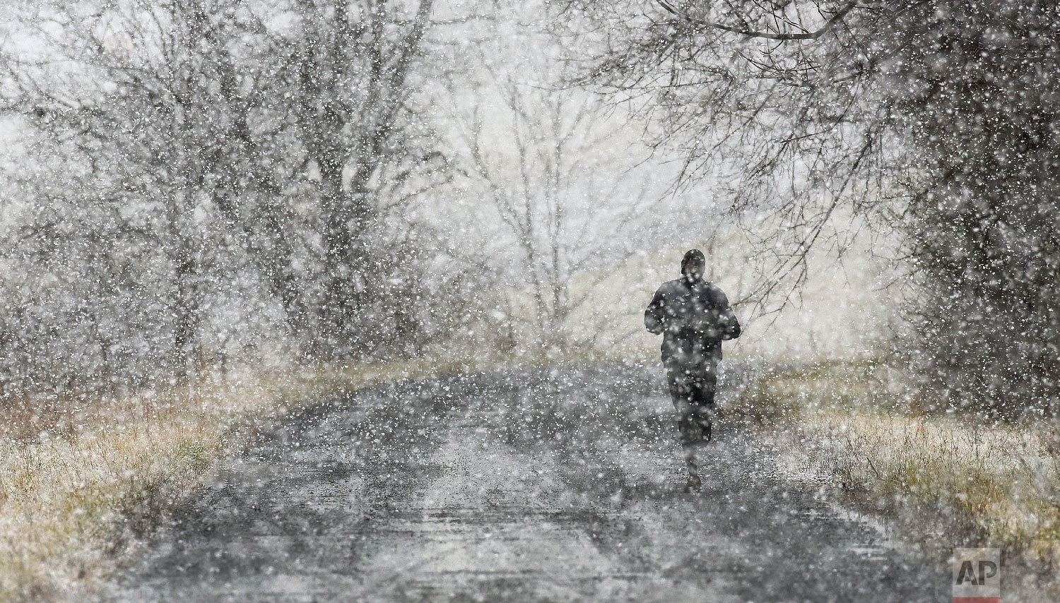  David Cheromei, Emory & Henry (VA) College Head Cross Country/Track & Field Coach, goes for a run on Itta Bena Road in Emory, Va. during a heavy snow fall Tuesday, Jan. 29, 2019. (Andre Teague/Bristol Herald Courier via AP) 