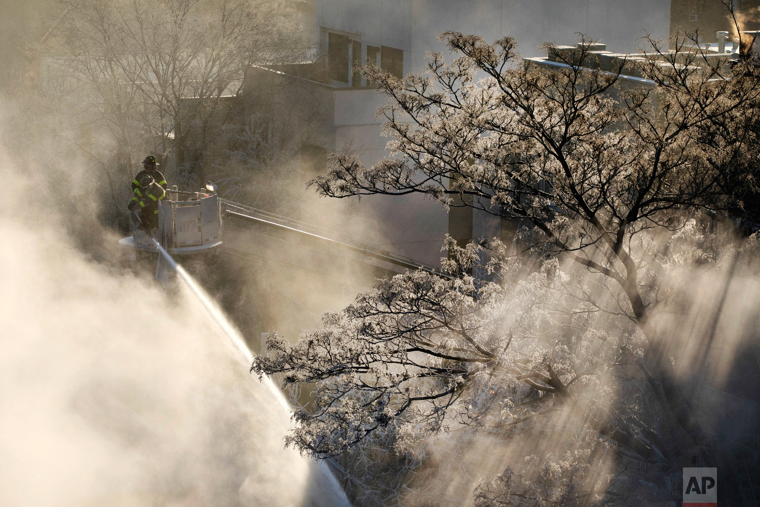  Ice forms on tree branches as New York firefighters battle a blaze in a commercial building in the Bedford Stuyvesant neighborhood of Brooklyn, Thursday, Jan. 31, 2019 in New York. (AP Photo/Mark Lennihan) 