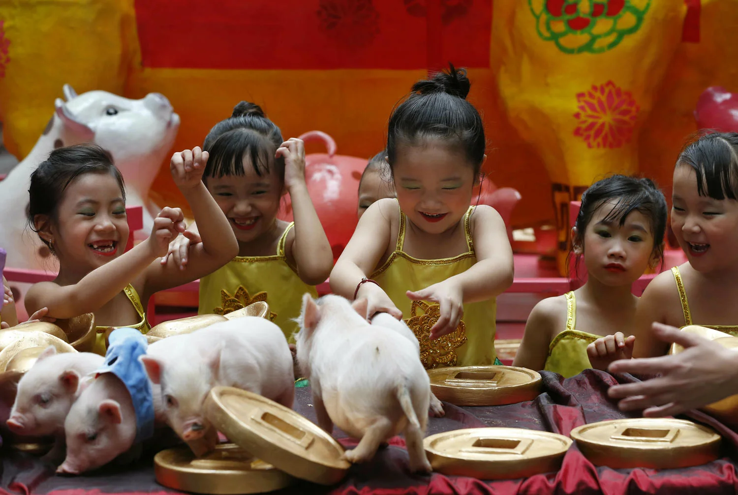 Girls play with live Teacup pigs, a rare pet in the country, at the start of celebrations leading to the Lunar New Year, Friday, Feb. 1, 2019 at Lucky Chinatown Plaza mall in Manila, Philippines. The upcoming Year of the Pig represents abundance, di