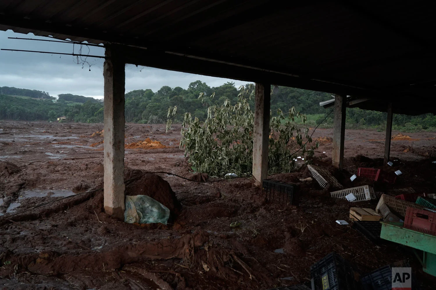 Mud covers a produce market after a Vale dam collapsed near Brumadinho, Brazil, Jan. 26, 2019. (AP Photo/Leo Correa)