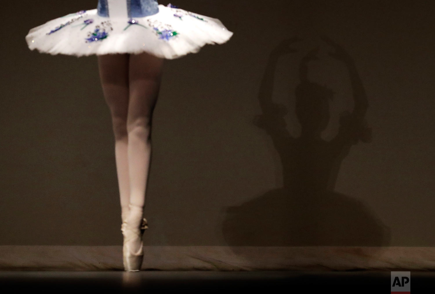  Eva Balicki performs in the Youth America Grand Prix North America regional semi-finals in River Forest, Ill. (AP Photo/Nam Y. Huh) 