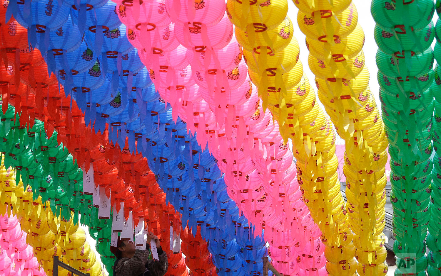  A worker attaches a name tag of a Buddhist who made a donation of a lantern to celebrate the upcoming Lunar New Year at the Bongeun Buddhist temple in Seoul, South Korea, Monday, Feb. 4, 2019. (AP Photo/Ahn Young-joon) 