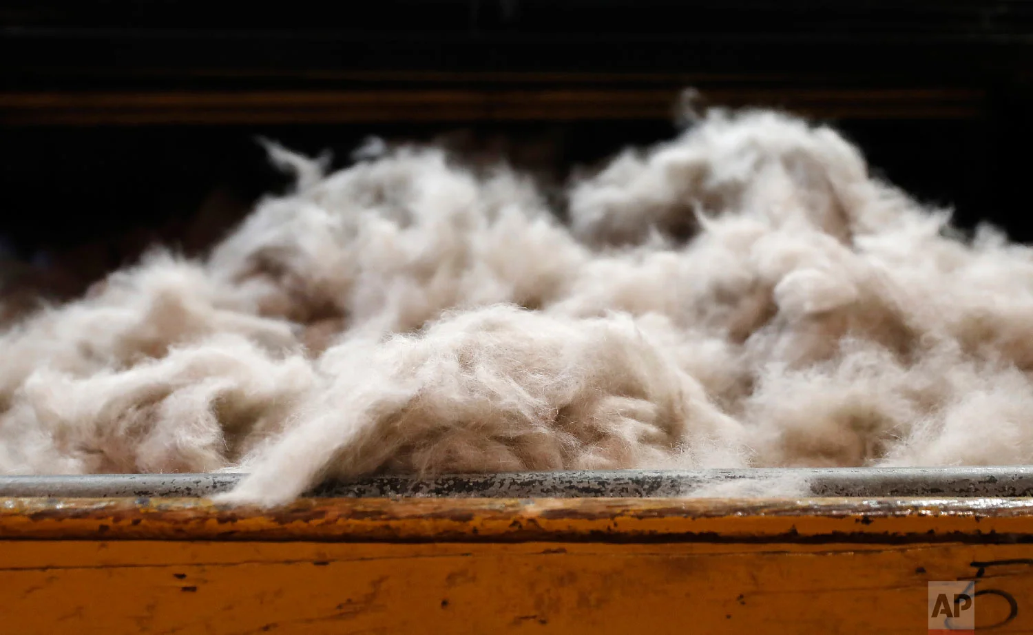 Rabbit fur to be moulded into a hat sits on a table at Borsalino's hat factory, in Spinetta Marengo, near Alessandria, Italy, Thursday, Jan. 17, 2019. (AP Photo/Antonio Calanni)