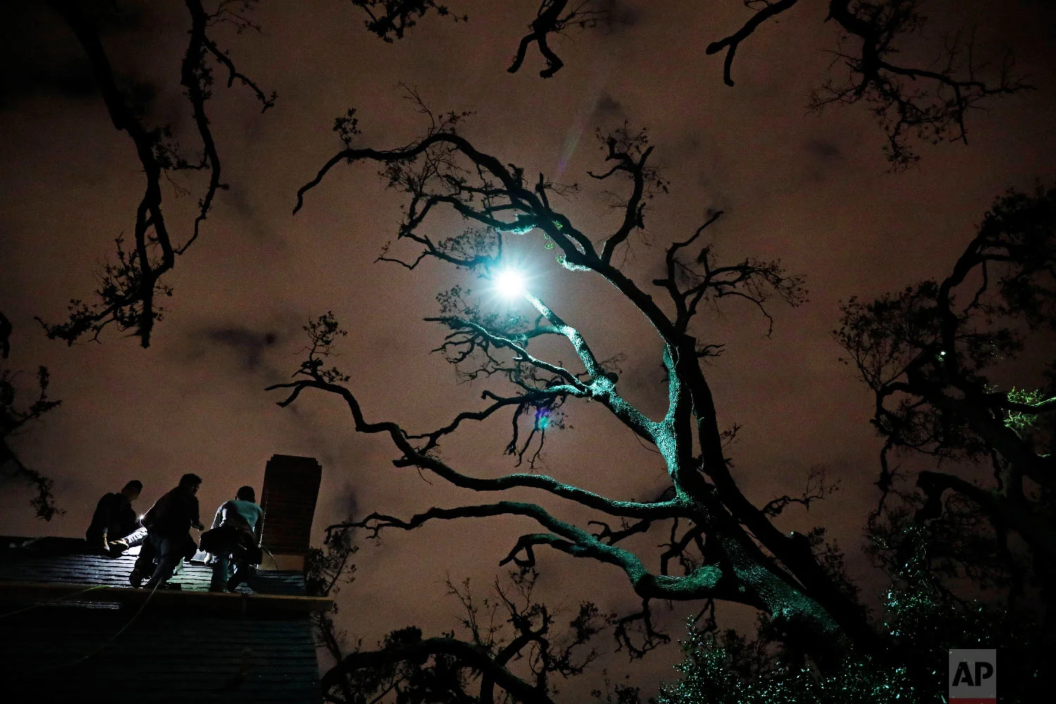 Workers repair a roof at night under trees left bare by Hurricane Michael in Panama City, Fla, Tuesday, Jan. 22, 2019. (AP Photo/David Goldman)