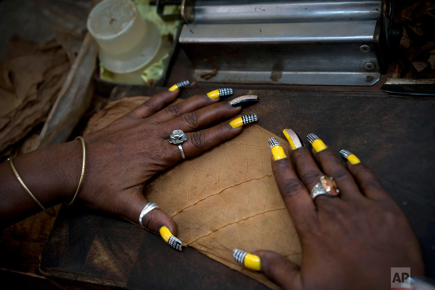 A worker whose are nails painted with the Cohiba motif, prepares tobacco leaves to make cigars at the El Laguito factory, on the sidelines of the Habano Cigar Festival in Havana, Cuba, Feb. 21, 2019. (AP Photo/Ramon Espinosa)