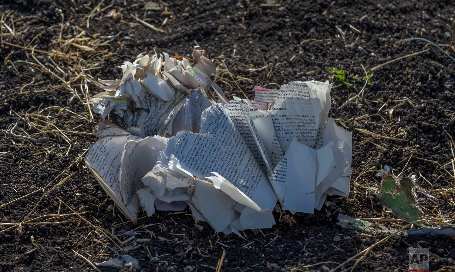 Documents lie on the ground near Bishoftu, Ethiopia, March 11, 2019, where Ethiopia Airlines Flight 302 crashed Sunday. (AP Photo/Mulugeta Ayene)