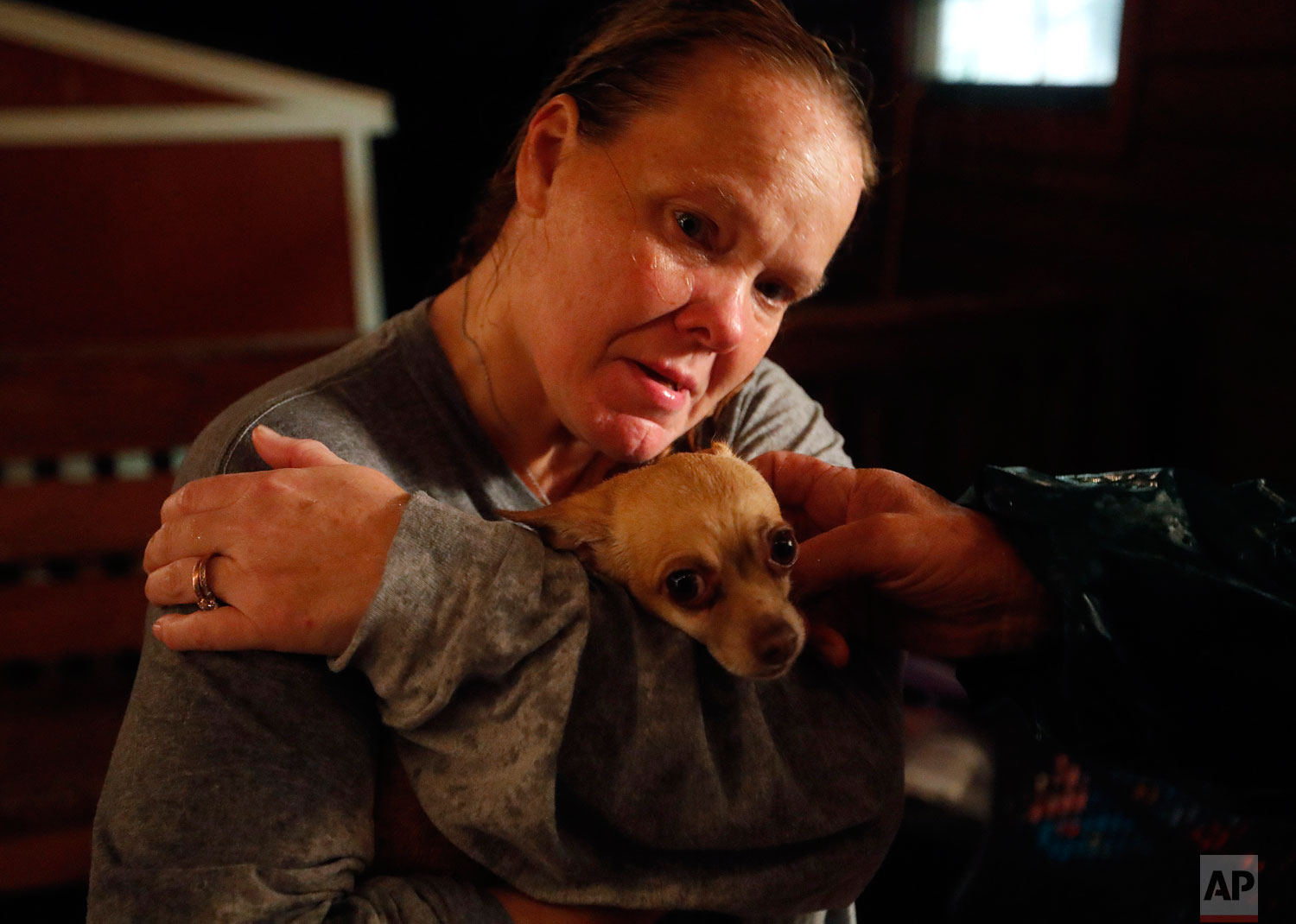  Lori Hogan, hugs her dog, Boo Boo, after losing him during a rain storm which brought on a panic attack for Hogan who is currently living in a tent in a backyard months after Hurricane Michael hit in Youngstown, Fla, Wednesday, Jan. 23, 2019. Hogan 