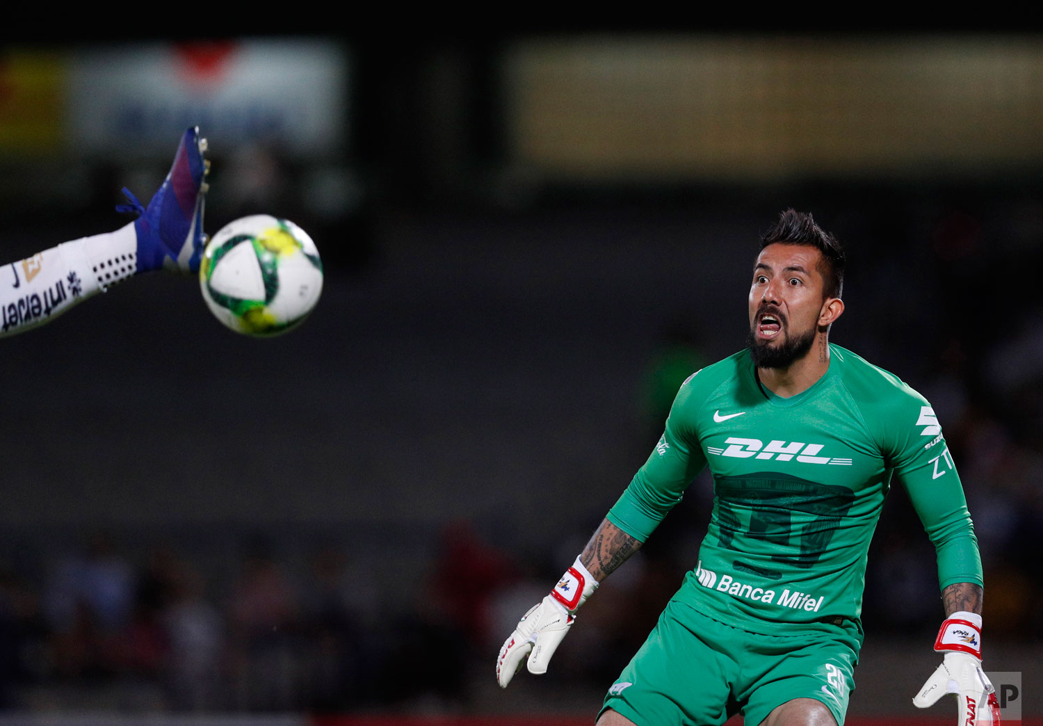  Pumas' goalkeeper Miguel Fraga watches as a scoring attempt by Dorados is intercepted by teammate Alan Mendoza, in their Copa MX quarterfinal match at Olympic University Stadium in Mexico City, Tuesday, March 12, 2019. (AP Photo/Rebecca Blackwell) 