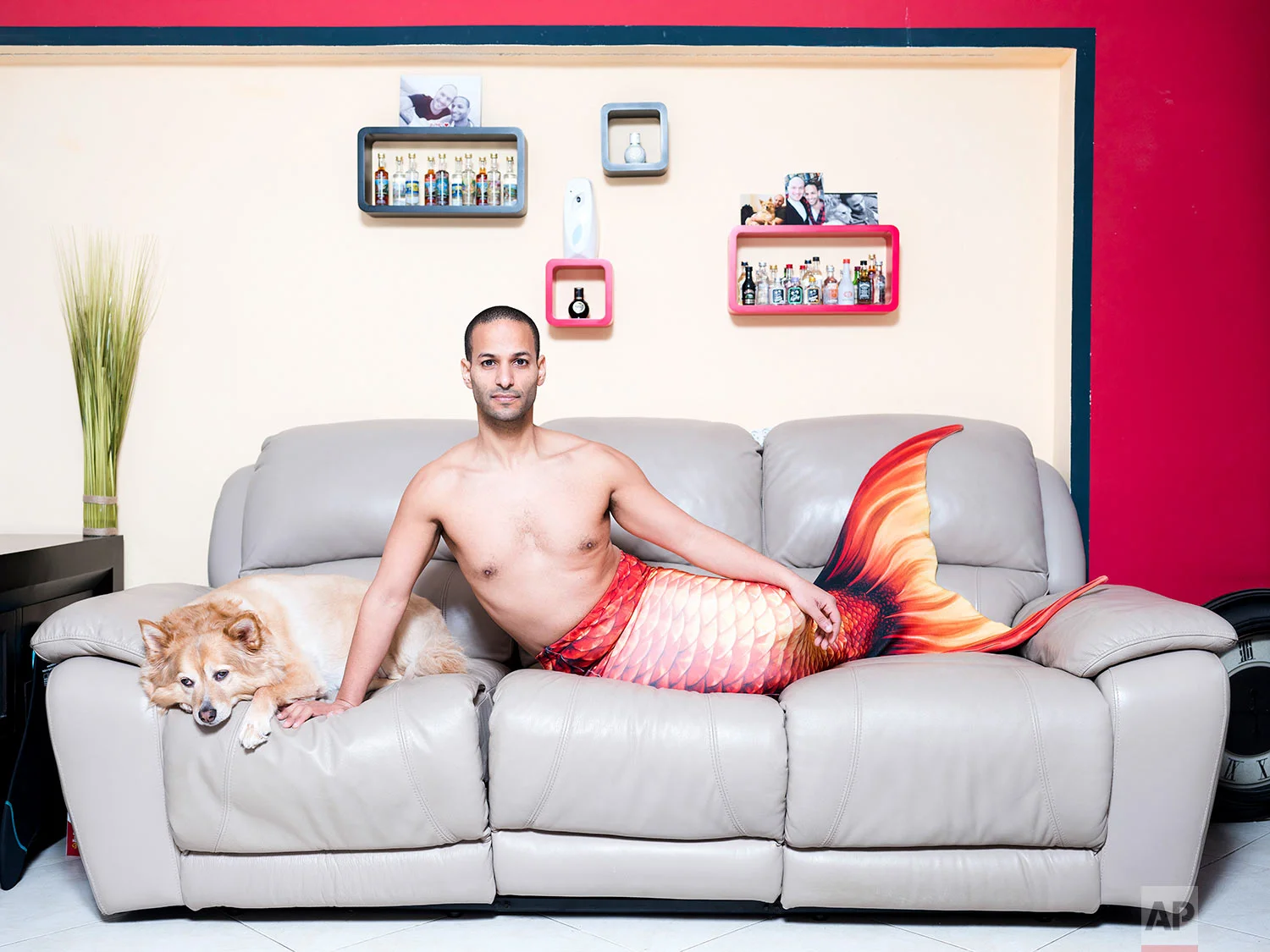 In this Friday, Feb . 22, 2019 photo, Udi Frige, a member of the Israeli Mermaid Community, poses for a portrait as he wears a mermaid tail at his home in Yahud, Israel. (AP Photo/Oded Balilty)