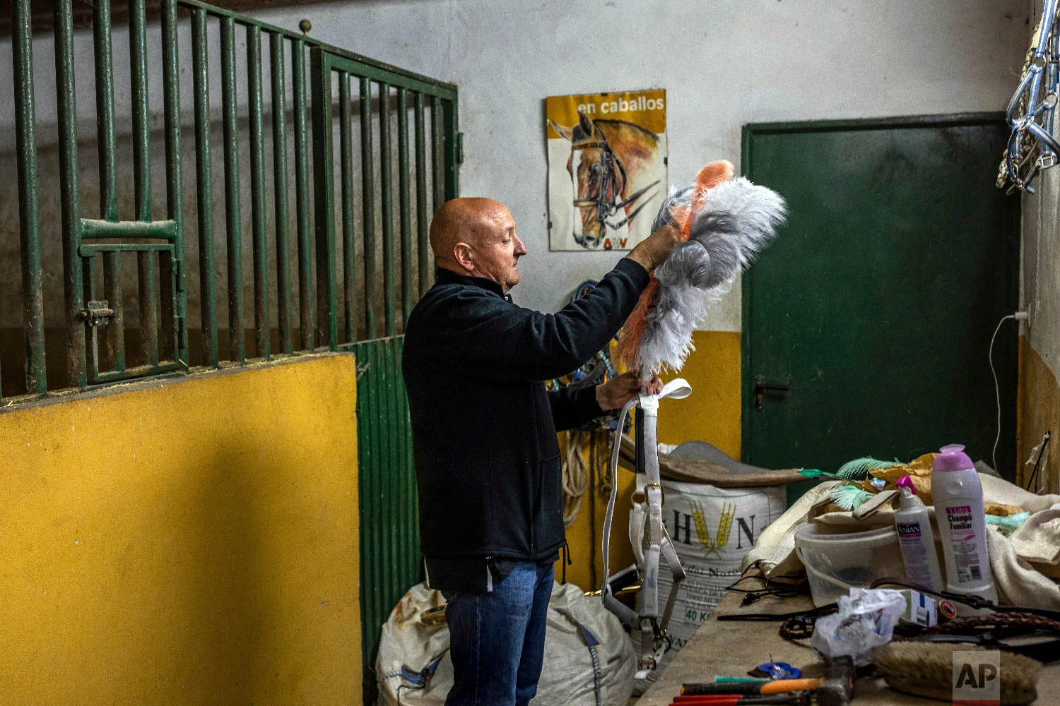 Juan Antonio Sanchez prepares ornaments for Rociero, a Spanish pure breed during the annual fiesta called "Los Caballos del Vino," usually translated as the Running of the Wine Horses in Caravaca de la Cruz, southeast Spain, Thursday, May 2, 2019. (AP Photo/Bernat Armangue)
