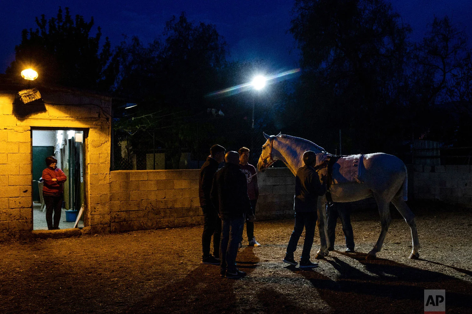 Members of the troupe "Terry," dress Rociero, a Spanish pure breed during the annual fiesta called "Los Caballos del Vino," usually translated as the Running of the Wine Horses in Caravaca de la Cruz, southeast Spain, Thursday, May 2, 2019. (AP Photo/Bernat Armangue)
