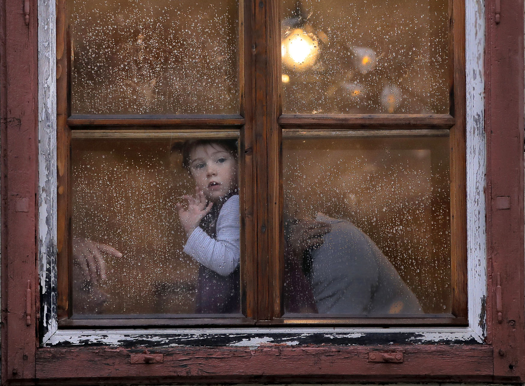 Pictures of the week