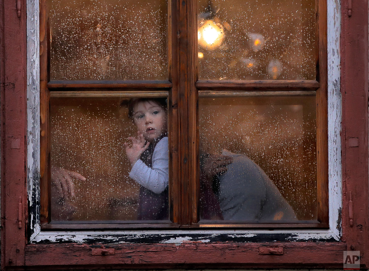 Peering From the Window