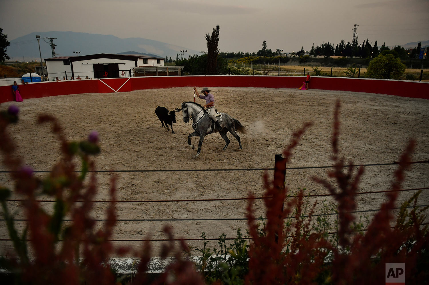 Roberto Armendariz takes part on a training with his horse at his ranch in Noain, northern Spain, June 19, 2019. (AP Photo/Alvaro Barrientos)