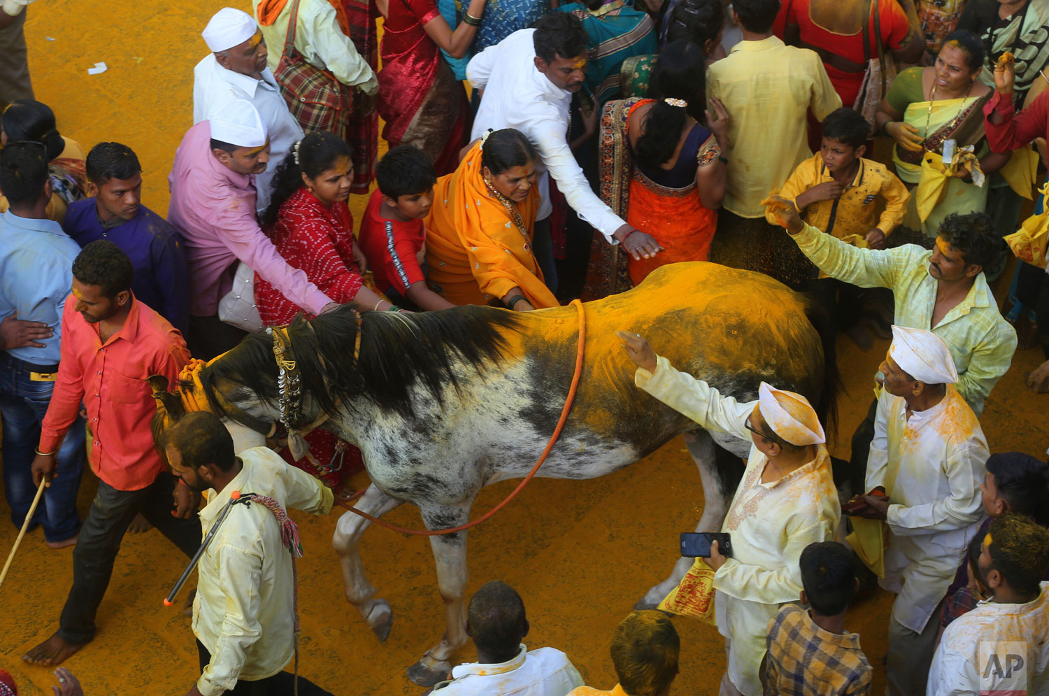 Devotees throw turmeric powder on a holy horse as an offering to the shepherd god Khandoba on 'Somavati during a procession at the temple of the shepherd god Khandoba on 'Somavati Amavasya' at the Jejuri temple in Pune district, Maharashtra state, India, Monday, June 3, 2019. 'Somavati Amavasya' is the day when a New Moon falls on a Monday.(AP Photo/Rafiq Maqbool)