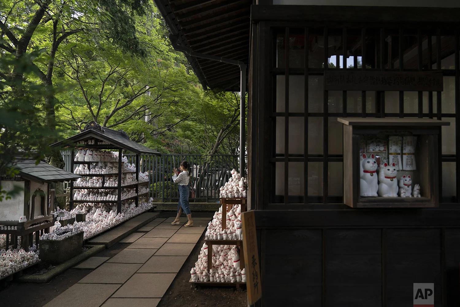 A visitor takes photos of beckoning cat figurines at Gotokuji Temple in Tokyo, Tuesday, June 25, 2019. (AP Photo/Jae C. Hong)