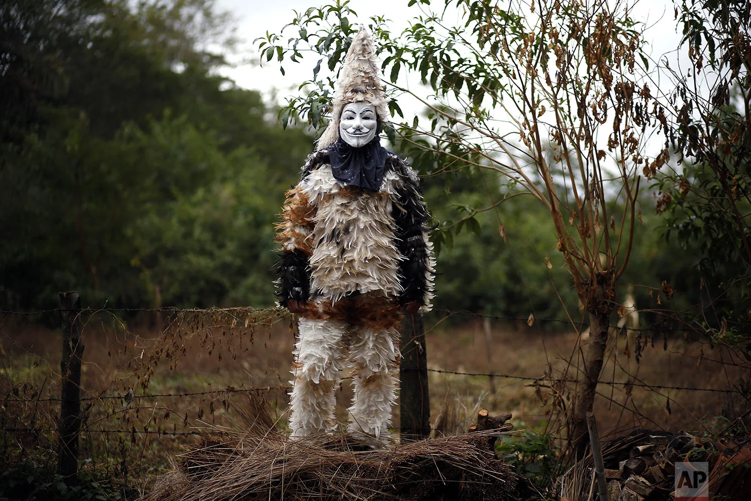  Farmer Nicolas Servin poses for a portrait wearing his feathered costume in honor of St. Francis Solano in Emboscada, Paraguay, Wednesday, July 24, 2019. Servin is thanking the Saint for a good harvest. (AP Photo/Jorge Saenz) 