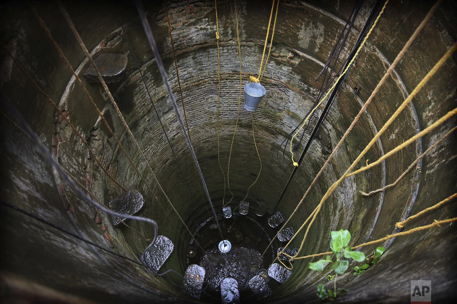 Indians fetch water from almost a dried well on the outskirts of Chennai in Southern Indian state of Tamil Nadu, Tuesday, July 16, 2019. (AP Photo/Manish Swarup)