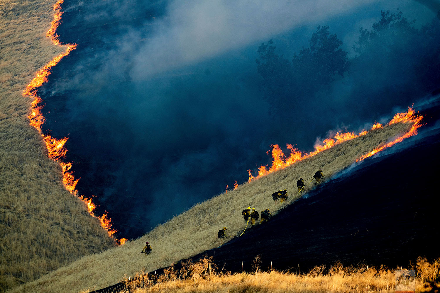  Firefighters battle the Marsh Fire near the town of Brentwood in Contra Costa County, Calif., Saturday, Aug. 3, 2019. (AP Photo/Noah Berger) 